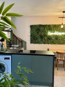 a kitchen with a sink and a dishwasher at Casa del Jaguar in Gorges