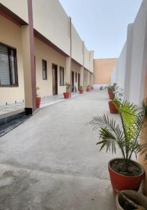 a row of buildings with potted plants in a courtyard at Panipat Town House panipath in Pānīpat