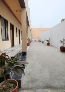a corridor of a building with potted plants at Panipat Town House panipath in Pānīpat