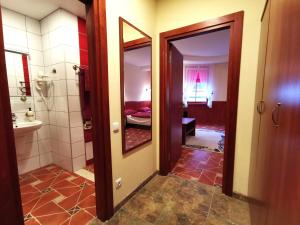 a bathroom with a shower and a sink and a mirror at Galia Apartments in Druskininkai in Druskininkai