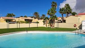 a large swimming pool in a yard with palm trees at Apartamento moderno en Costa Calma in Costa Calma