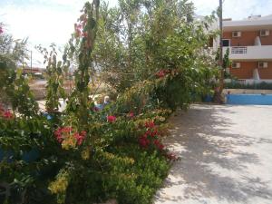a hedge of flowers in front of a building at Blue Sky Taverna Apartments Kiki in Adelianos Kampos