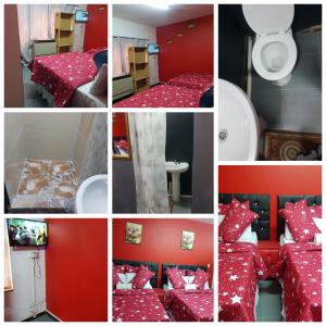 彼得馬里茨堡的住宿－Camp Inn BnB，红色墙壁卧室的照片拼贴
