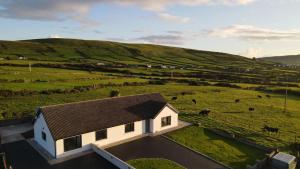 Photo de la galerie de l'établissement Dingle Way Snug, Luxury apartment, à Dingle