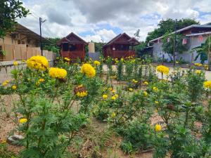 Zahrada ubytování Sappermpool Guest House เรือนภูผา