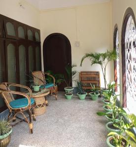 une chambre avec des chaises et des plantes en pot dans l'établissement Globetrotters homestay, à Jorha