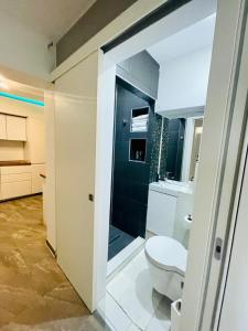 a bathroom with a toilet and a shower at Bambuus Garden & Spa in Drăgăşani