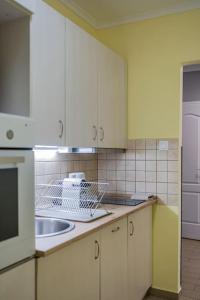 Kuchyňa alebo kuchynka v ubytovaní Venus Apartments - Synagogue I