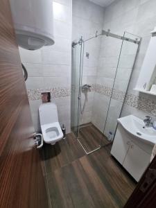 La salle de bains est pourvue d'une douche, de toilettes et d'un lavabo. dans l'établissement Apartman Ruzmići Divčibare, à Divčibare