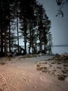 a beach with footprints in the sand and trees at Lapland Arctic Cabins 