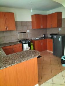 a kitchen with wooden cabinets and a counter top at Johari Shared Studio Westlands in Nairobi