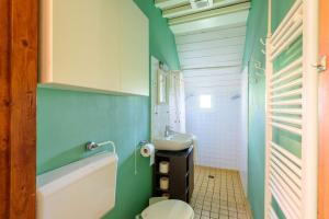 a bathroom with a toilet and a sink at Prachtig vrijstaand familiehuis op groot perceel in Scherpenzeel +61 photos