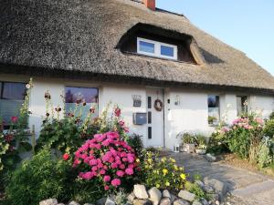 una casa de campo con techo de paja y flores delante de ella en Wohnung am Wanderweg zum Königsstuhl unter Reet, en Lohme