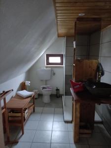 a bathroom with a sink and a toilet in a room at Wohnung am Wanderweg zum Königsstuhl unter Reet in Lohme