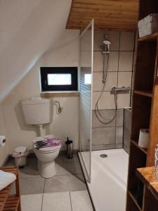 uma casa de banho com um WC e uma cabina de duche em vidro. em Wohnung am Wanderweg zum Königsstuhl unter Reet em Lohme