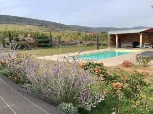 un jardín con piscina y una casa en Superbe Maison Jacuzzi+Piscine au cœur des vignes, en Pfaffenheim