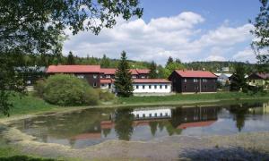 a group of buildings next to a body of water at Penzion Dukla in Mariánská