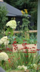 a garden with red and white flowers and a bench at Aughavannagh Yurt Glamping in Aughrim