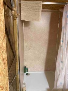 a bathroom with a tub and a shower curtain at Aughavannagh Yurt Glamping in Aughrim