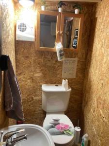 a bathroom with a toilet and a sink at Aughavannagh Yurt Glamping in Aughrim