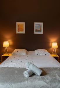 um quarto com uma cama grande e 2 candeeiros em Le Gramont - Grand appartement design, 3 chambres, Centre Ville em Vichy