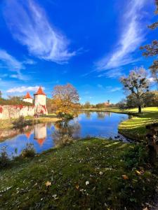 a view of a lake with a castle in the background at Privatzimmer mit Balkon in Munich