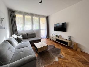a living room with a couch and a flat screen tv at Apartmán Víšek in Jáchymov