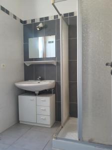 een badkamer met een wastafel en een douche bij Mas Miraflors in Perpignan