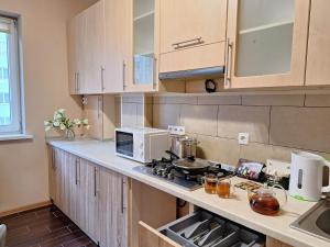 a kitchen with a stove and a microwave at Велике ліжечко на Садовому. Мережа Alex Apartments. Цілодобове безконтактне заселення in Poltava