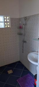 a bathroom with a shower and a sink at appartement Villa Nancy in Toamasina