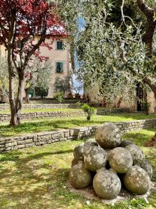 Zahrada ubytování Casa Gaia