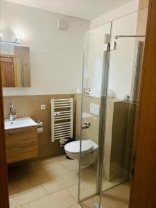 a bathroom with a toilet and a glass shower at Hotel & Restaurant Olio é Pane in Enzklösterle