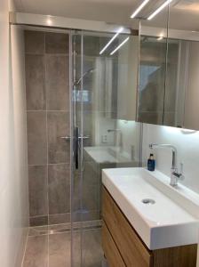 La salle de bains est pourvue d'une douche en verre et d'un lavabo. dans l'établissement Wildrijk 104, à Sint Maartensvlotbrug