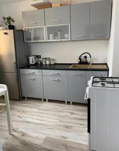 Kuchyň nebo kuchyňský kout v ubytování Apartament Magdalena