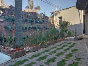 einen Garten mit Pflanzen und einem Zaun in der Unterkunft Executive Guest House Randfontein in Randfontein