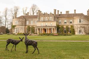 two giraffes standing in a field in front of a house at Lucknam Park Hotel in Chippenham