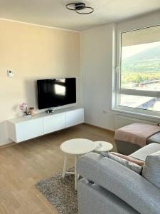 sala de estar con TV, sofá y mesa en Rosie apartment, en Nova Gorica