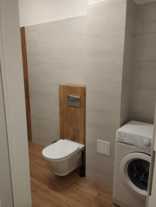 Apartament Osowskie Zacisze 욕실