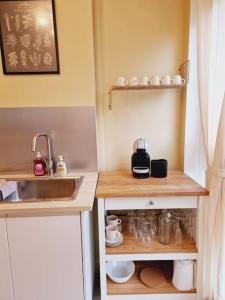 uma pequena cozinha com um lavatório e um balcão em Appartement neuf proche parc de Versailles + parking em Le Chesnay