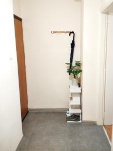 una habitación con una pared blanca y un estante con una planta en 生活超便利的小公寓 en Athens