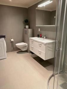 uma casa de banho com um WC, um lavatório e um chuveiro em Kikut Panorama, Geilo - sleeps 9pax, ski in/out - Modern 2 floor apart em Geilo