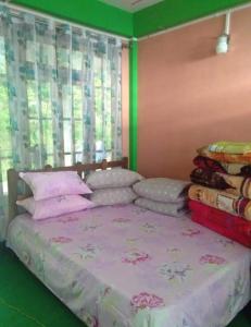 um quarto com uma cama com paredes cor-de-rosa e verde em Sunyog Homestay em Pedong