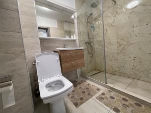 a bathroom with a toilet and a shower at Lucky Home Timisoara 2 in Timişoara