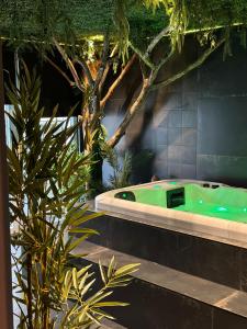 uma banheira verde num quarto com plantas em Suite Marie em Verviers