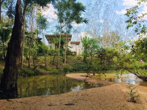 a house in the middle of a forest with a river at Baansuan Suksangob Farm Stay in Trang