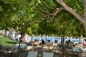 a group of chairs under trees next to a pool at Ganozliev's Apartments in Kavatsi Area in Sozopol