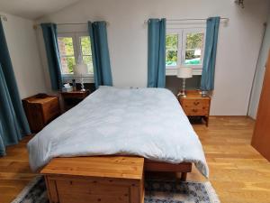 a bedroom with a large bed with blue curtains at Loft en duplex 270 m2 & Jardin patio terrasse sauna in Chaville