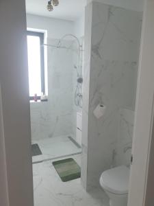 a white bathroom with a shower and a toilet at Apartament Resort in Constanţa