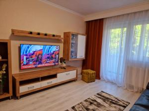 a living room with a flat screen tv on a entertainment center at ORI Passion Apart. Malul Mureșului in Arad