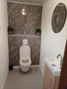 a bathroom with a toilet and a sink and a mirror at Vrijstaand chalet met veel buitenruimte en veranda in Zuid-Scharwoude